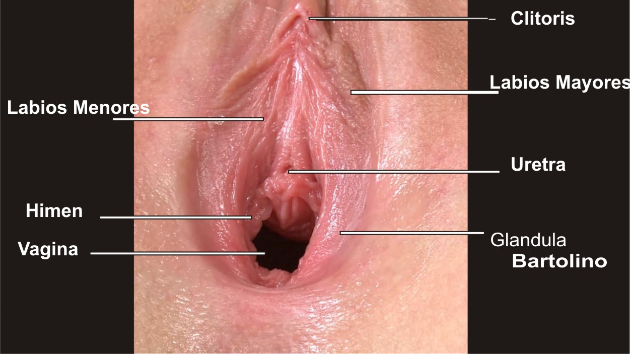 Shave your vaginal area
